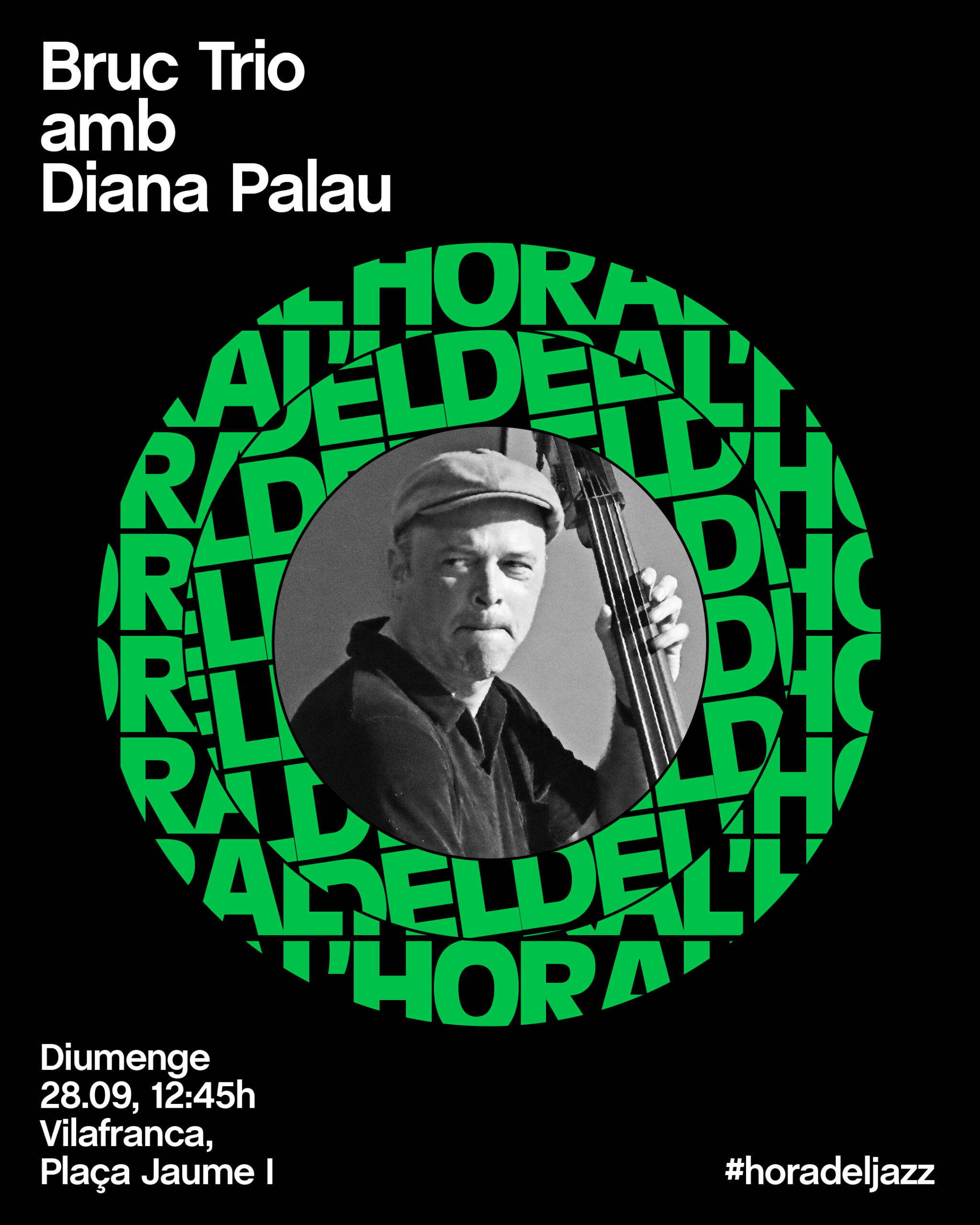 Grups 1080×1350 Bruc Trio amb Diana Palau